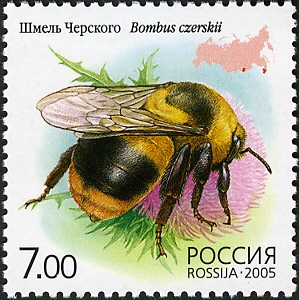 RU047.05.jpg