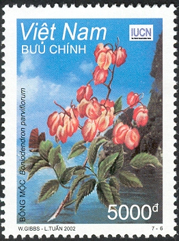 VN047.02.jpg