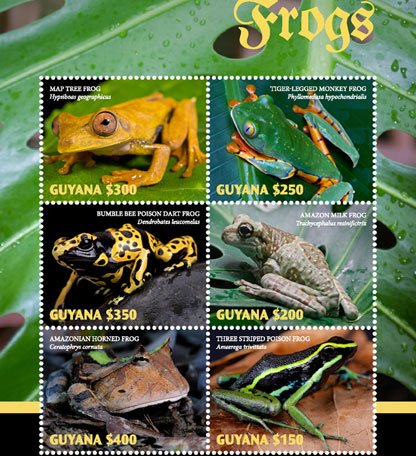 Colnect-5057-388-Frogs.jpg