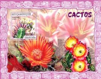 Colnect-6130-322-Cactus.jpg