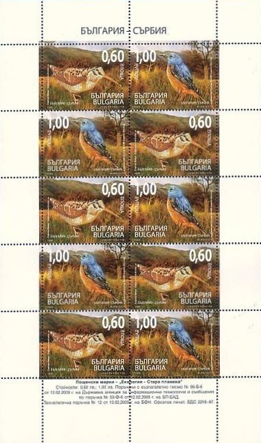 Colnect-1845-421-Mini-Sheet-with-5x-No-4885-86---Eurasian-Woodcock-Common-R.jpg