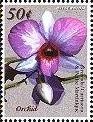 Colnect-1878-813-Orchid.jpg