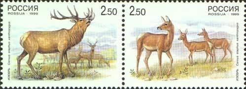 Colnect-190-865-Deers.jpg