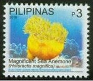 Colnect-1832-614-Magnificent-Sea-Anemone-Heteractis-magnifica-.jpg