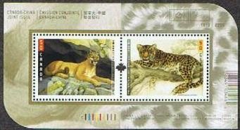 Colnect-210-192-Cougar-Felis-concolor-Amur-Leopard-Panthera-pardus-orien.jpg