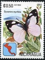 Colnect-1310-266-Brush-footed-Butterfly-Dynamine-myrrhina.jpg