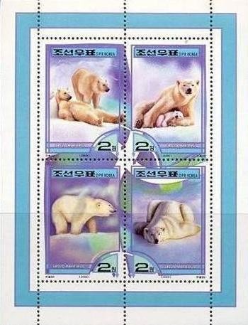 Colnect-1614-858-Polar-Bear-Ursus-maritimus.jpg