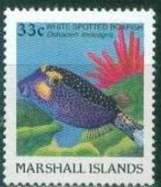 Colnect-1906-189-White-spotted-Boxfish-Ostracion-meleagris.jpg