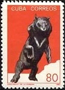 Colnect-1974-015-Asian-Black-Bear-Selenarctos-tibetanus.jpg