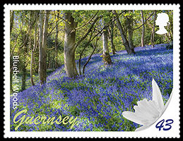 Colnect-3342-107-Bluebell-Woods.jpg