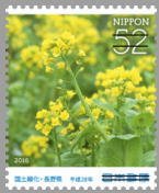 Colnect-3536-640-Rapeseed-Blossoms-Brassica-rapa.jpg