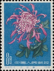 Colnect-485-650-Chrysanthemum.jpg
