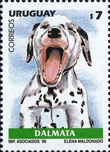 Colnect-491-741-Dalmatian-Canis-lupus-familiaris.jpg
