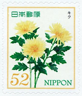 Colnect-5615-672-Chrysanthemum.jpg