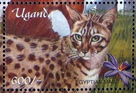 Colnect-6075-882-Egyptian-Mau-Cat-Felis-silvestris-catus.jpg