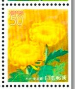 Colnect-6260-804-Chrysanthemums.jpg