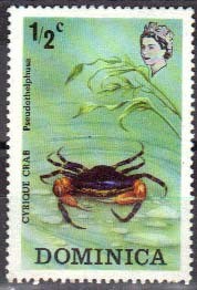 Colnect-814-083-Cyrique-crab-Pseudothelphusa.jpg