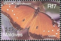 Colnect-961-898-Queen-Butterfly-Danaus-gilippus-ssp-berenice.jpg
