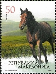 Colnect-1448-991-Horse-Equus-ferus-caballus.jpg