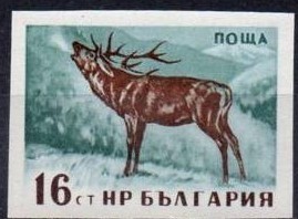 Colnect-1644-631-Red-Deer-Cervus-elaphus---totally-Imperforated.jpg