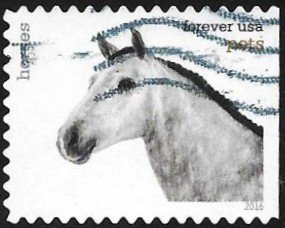 Colnect-3483-610-Horse-Equus-ferus-caballus.jpg