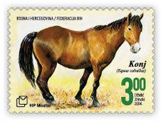 Colnect-3752-883-Horse-Equus-ferus-caballus.jpg