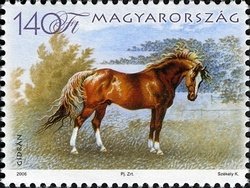 Colnect-497-454-Gidran-Equus-ferus-caballus.jpg