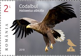 Colnect-5250-355-White-Tailed-Eagle-Haliaeetus-albicilla.jpg