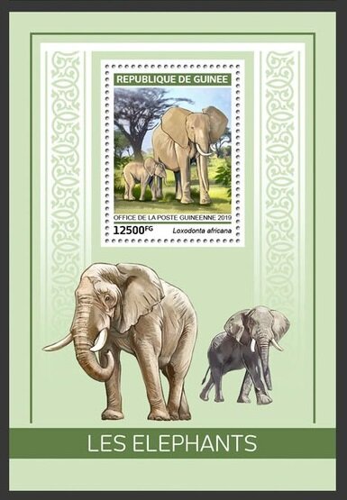 Colnect-5970-284-African-Bush-Elephant-Loxodonta-africana.jpg