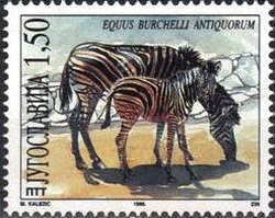 Colnect-875-660-Plains-Zebra-Equus-burchelli-antiquorum.jpg