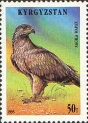 Colnect-990-622-Tawny-eagle-Aquila-rapax.jpg