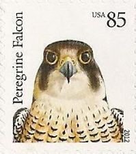 Colnect-1699-528-Peregrine-Falcon-Falco-peregrinus.jpg