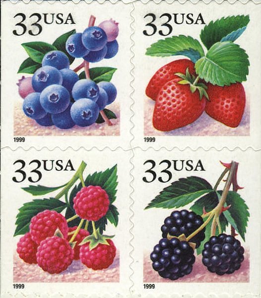 Colnect-4172-566-Fruit-Berries.jpg