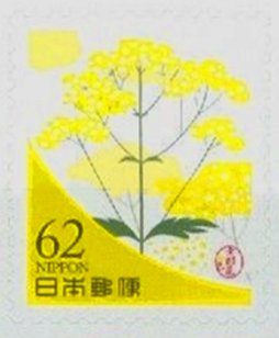 Colnect-4381-809-Damno-flower-yellow-color.jpg