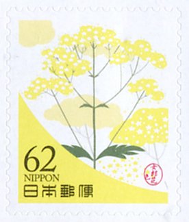 Colnect-5282-294-Damno-Flower-Yellow-Color.jpg
