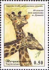 Colnect-1103-119-Reticulated-Giraffe-Giraffa-camelopardalis-reticulata.jpg