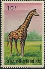 Colnect-1371-271-Giraffe-Giraffa-camelopardalis.jpg