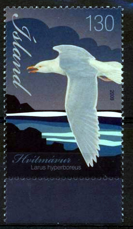 Colnect-1395-185-Glaucous-Gull-Larus-hyperboreus.jpg