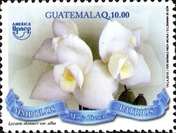Colnect-2208-678-Ntl-Flower-of-Guatemala---Lycaste-skinneri.jpg