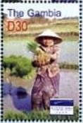 Colnect-4909-858-Woman-holding-rice-plants.jpg