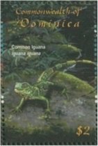 Colnect-3253-507-Green-Iguana-Iguana-iguana.jpg