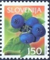 Colnect-707-958-Fruits-in-Slovenia-Bilberry.jpg