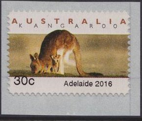 Colnect-4801-336-Eastern-Grey-Kangaroo-Macropus-giganteus.jpg