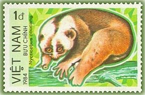 Colnect-1628-848-Sunda-Slow-Loris-Nycticebus-coucang.jpg