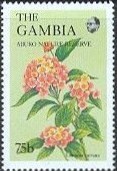 Colnect-2333-821-Lantana-Camara.jpg