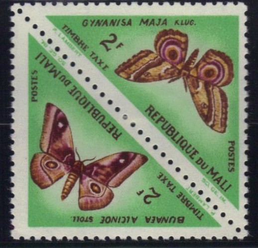 Colnect-1003-117-Gynanisa-maja-and-Bunaea-alcinoe.jpg
