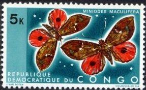 Colnect-1104-898-Moth-Miniodes-maculifera.jpg