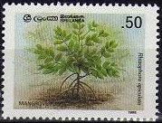 Colnect-2413-464-Mangrove-Tree.jpg
