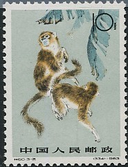 Colnect-487-267-Golden-Snub-nosed-Monkey-Rhinopithecus-roxellana.jpg