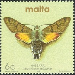 Colnect-657-492-Hummingbird-Hawk-Moth-Macroglossum-stellatarum.jpg